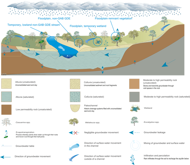 Figure 24