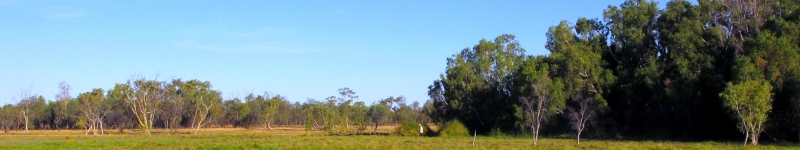 Artesian Spring Wetland at  Doongmabulla Nature Refuge, QLD, 2013 Credit: Jeremy Drimer, University of Queensland