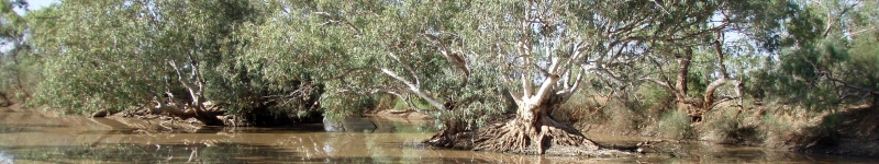 Hookeys waterhole in Neales catchment, SA. November 2009 Credit: ​Dale McNeil (South Australian Research and Development Institute)