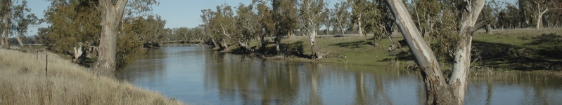 Gulligal Lagoon, which is located about halfway between Gunnedah and Boggabri on the western side of the Namoi River, NSW, 2005 Credit: Courtesy of Neal Foster