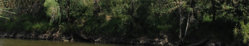 Gwydir River near Pallamallawa © CSIRO Photo taken by CSIRO team member during BA field trip Gwydir River near Pallamallawa © CSIRO Photo taken by CSIRO team member during BA field trip